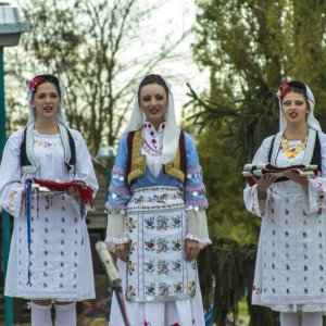 Višnjićevi dani 2013.